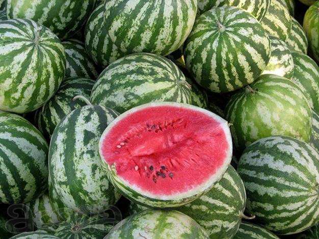 Продажа арбузов оптом